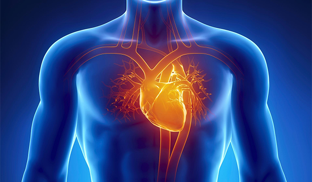 Невероятные возможности человеческого организма